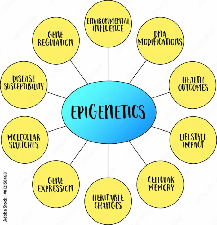 Understanding Epigenetics